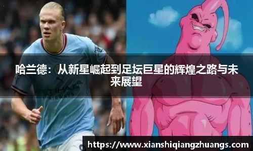 完美体育在线入口官网